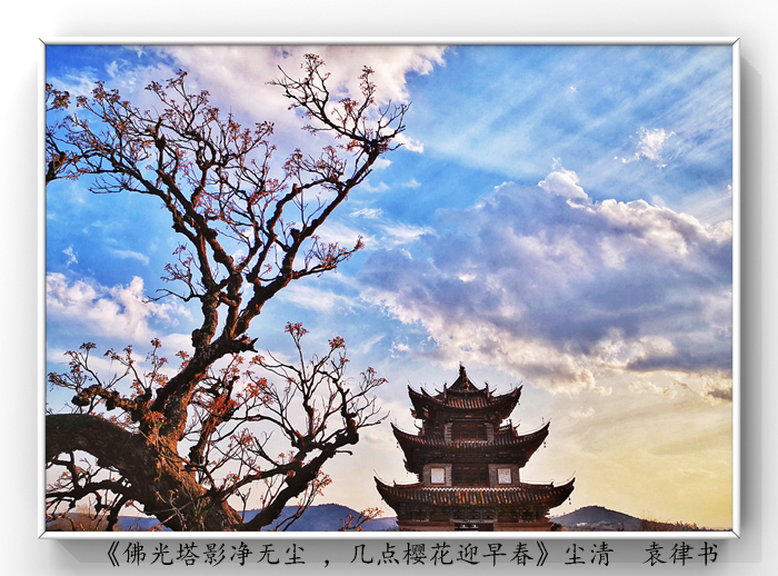 025《佛光塔影凈無塵 ，幾點櫻花迎早春》.jpg