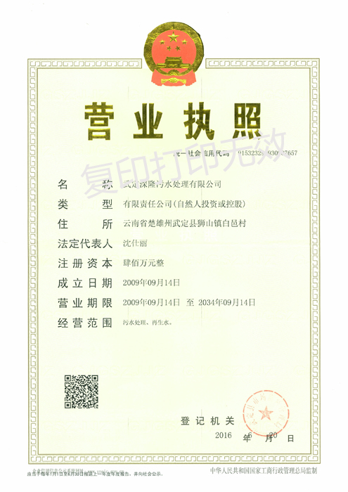 武定深隆污水處理有限公司-營業(yè)執(zhí)照正本
