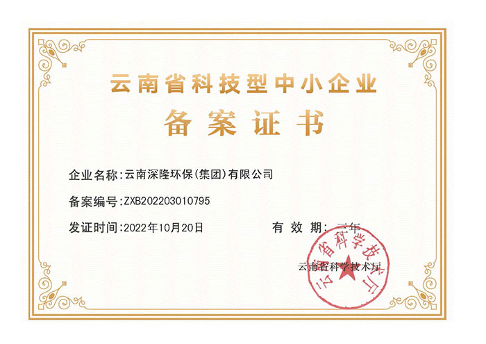 云南深隆環(huán)保(集團)有限公司--云南省科技型中小企業(yè)備案證書